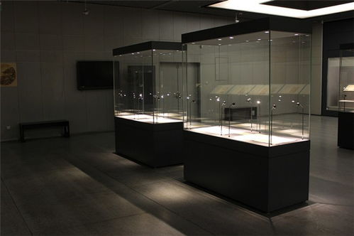 隆城展示 廈門博物館展柜高清大圖解析與專業(yè)賞析